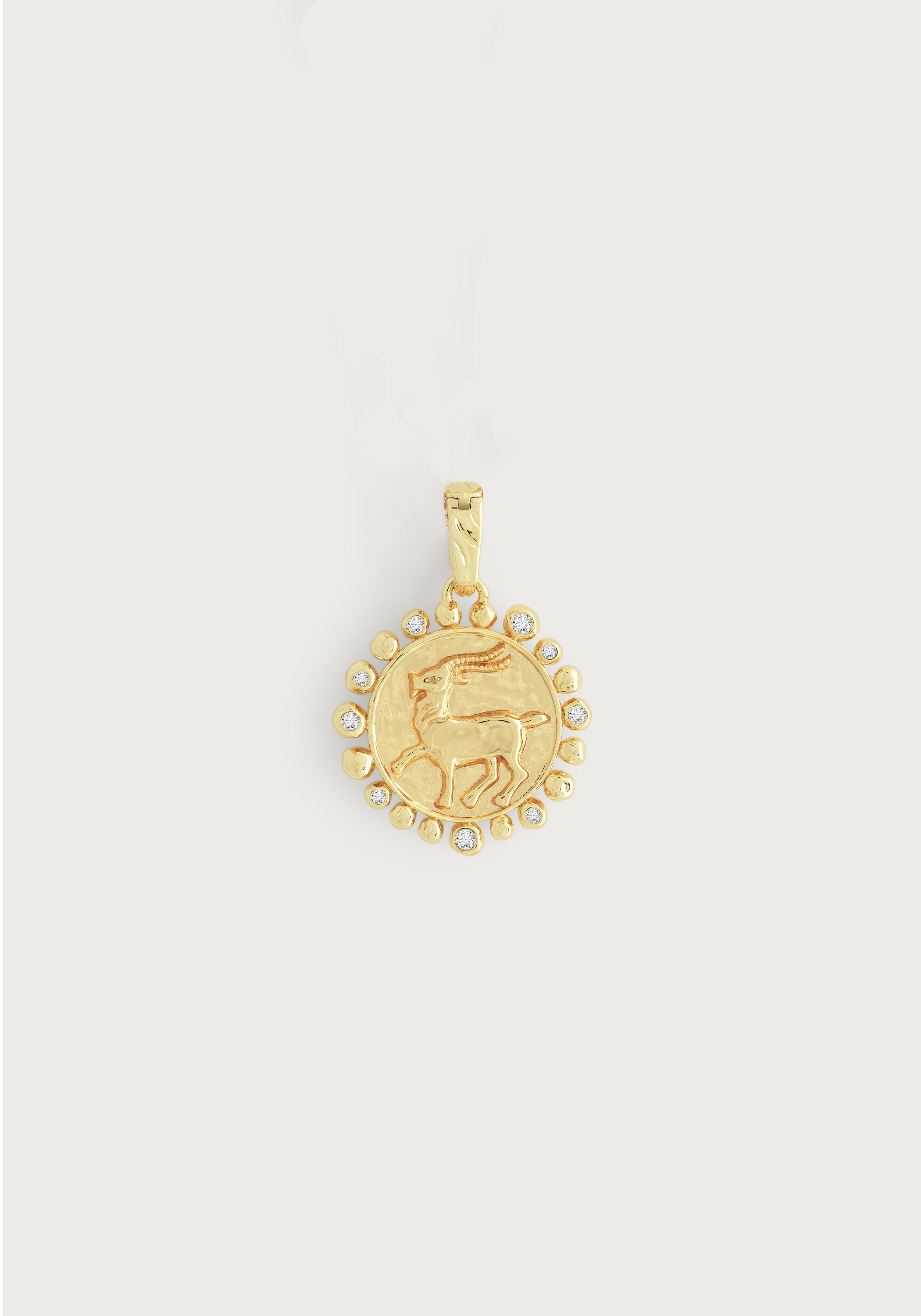 Zodiac Charm - Capricorn