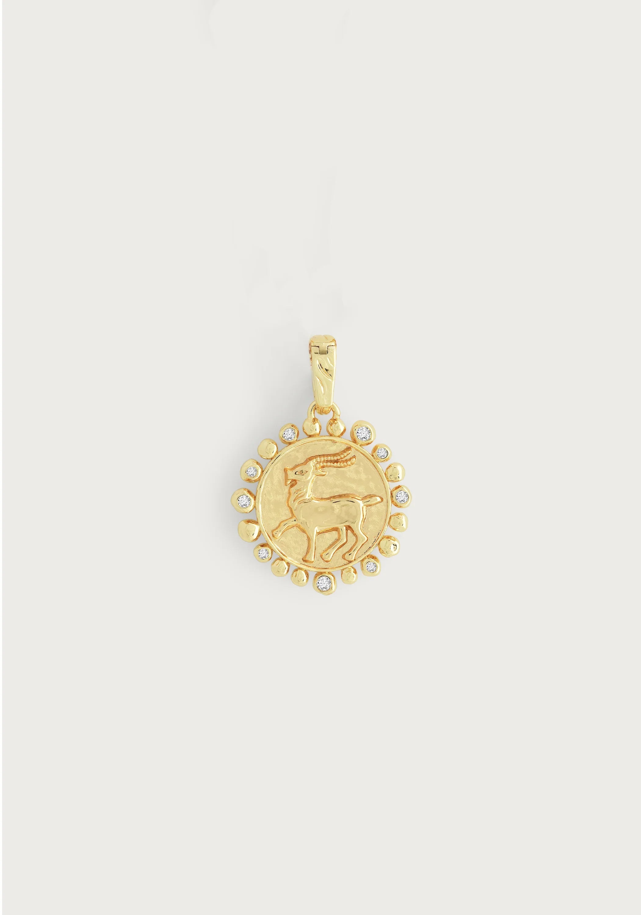 Zodiac Charm - Capricorn
