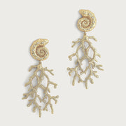 Shell With Coral Drop Earrings - Anabel Aram