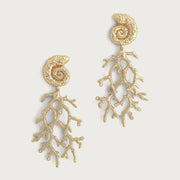 Shell With Coral Drop Earrings