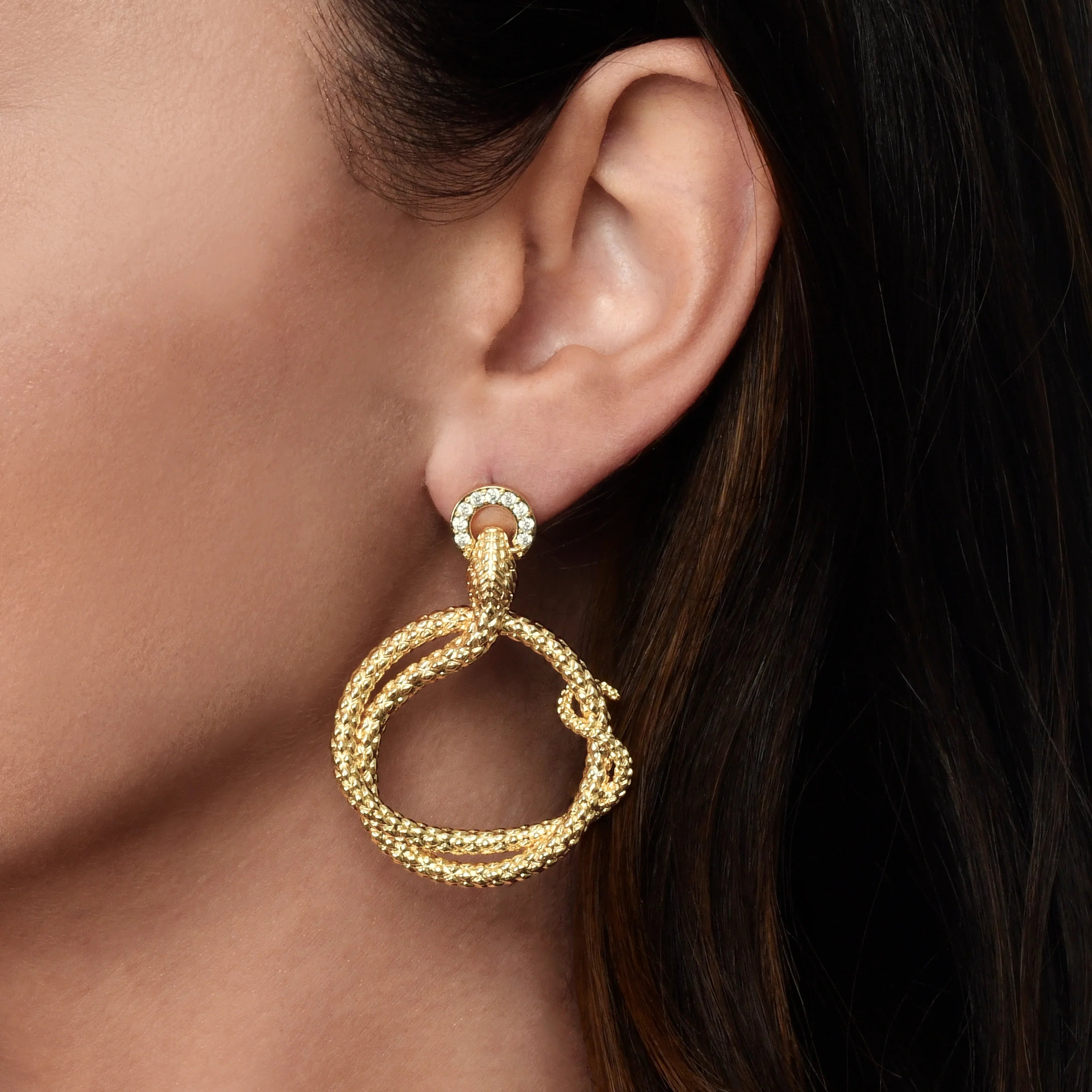 Earrings