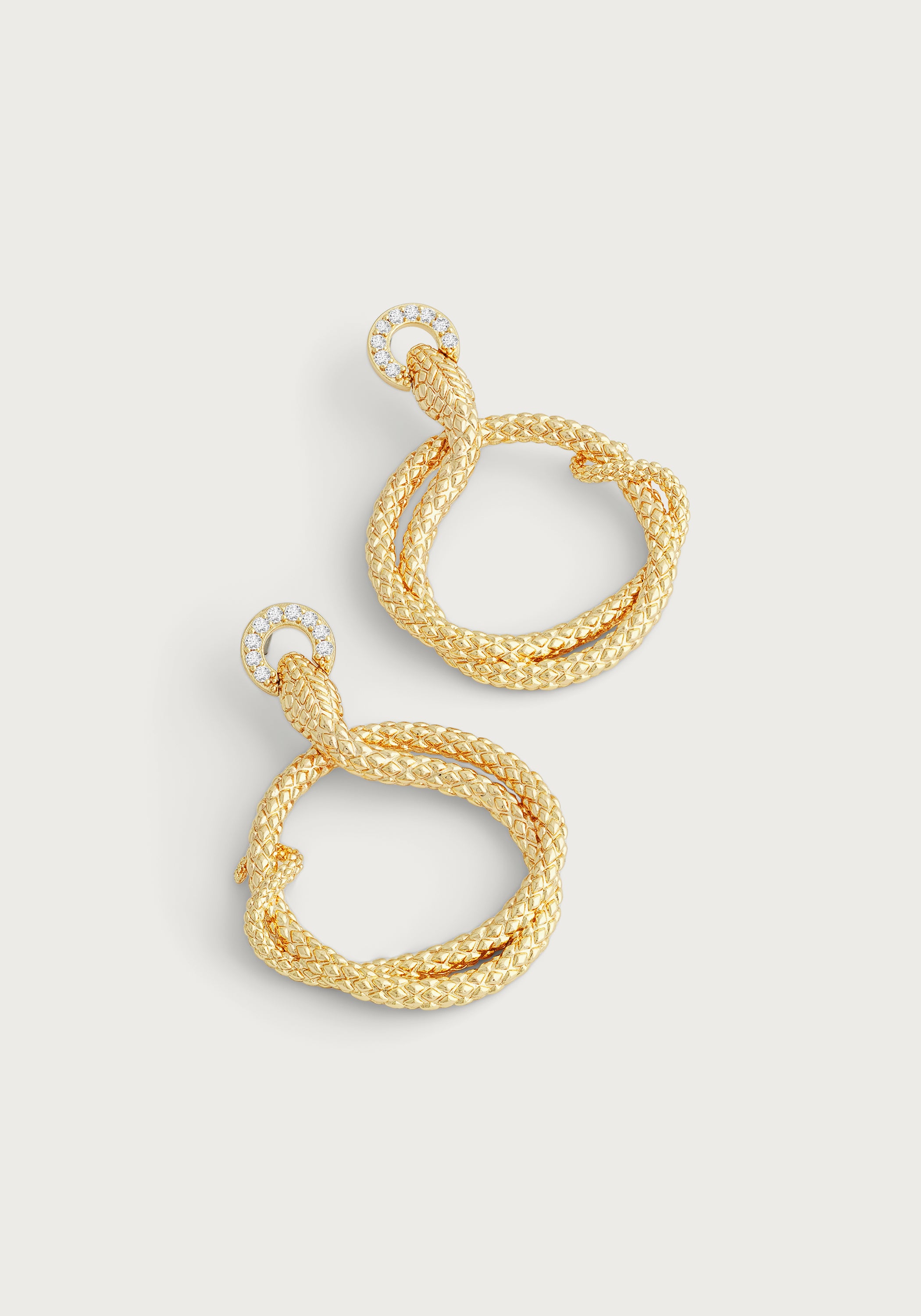 Serpent Holding Ring Hoop Earrings