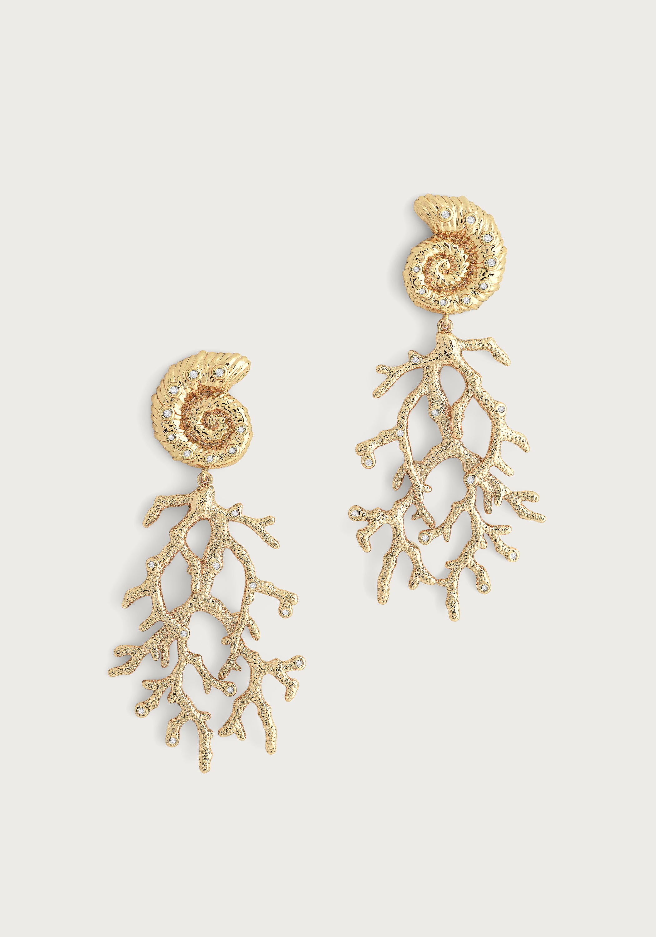 Shell With Coral Drop Earrings