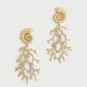 Shell With Coral Drop Earrings