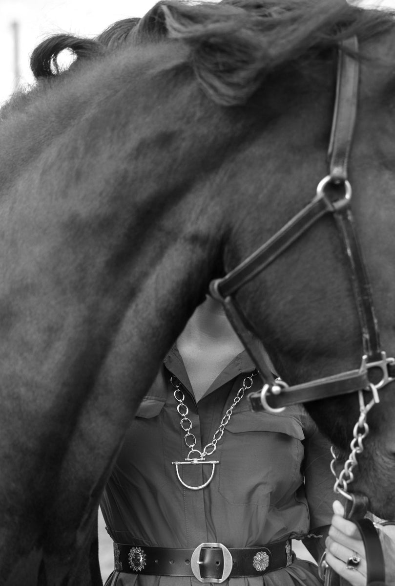 Cheval Bit Pendant, Silver - Anabel Aram