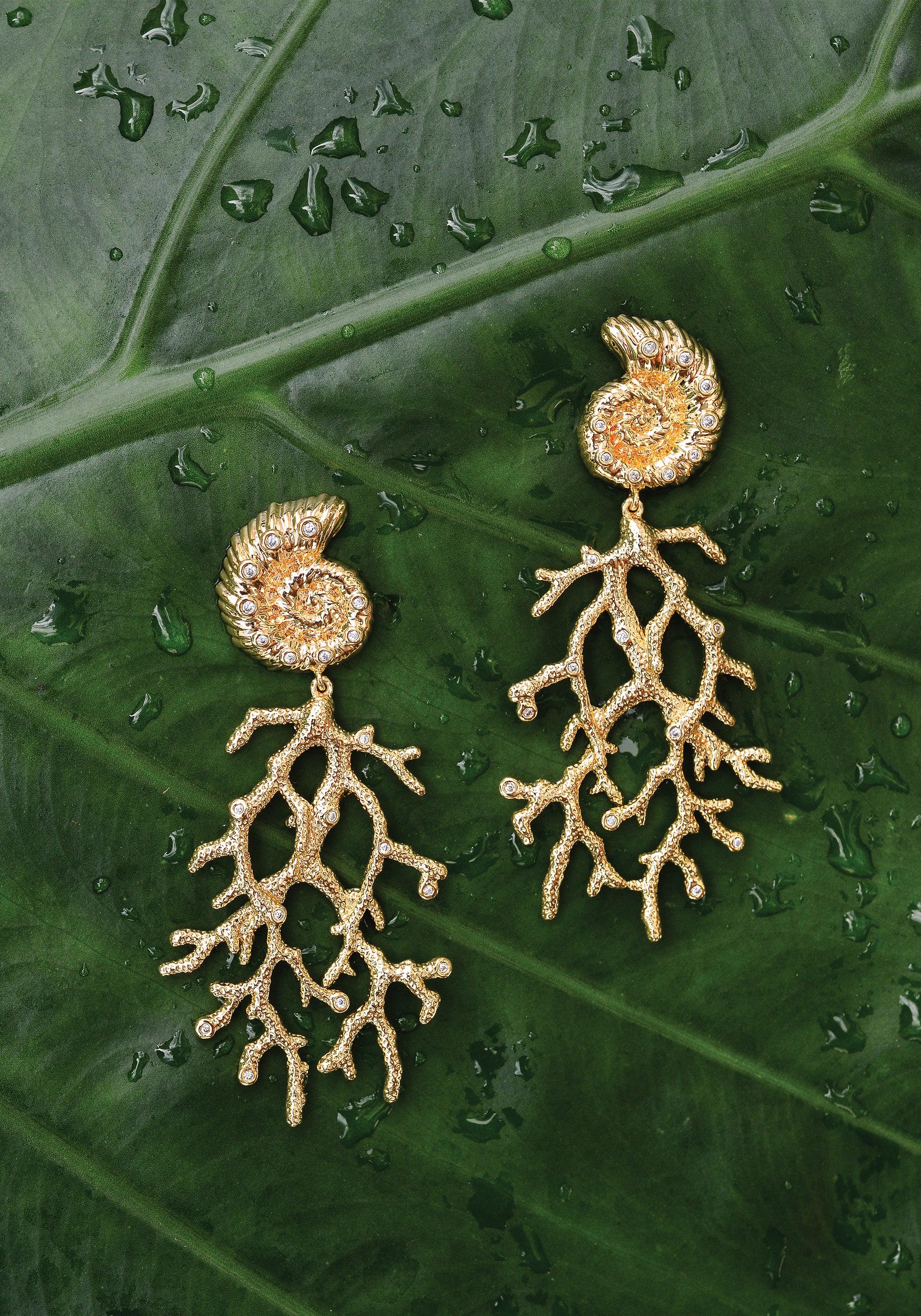 Shell With Coral Drop Earrings - Anabel Aram
