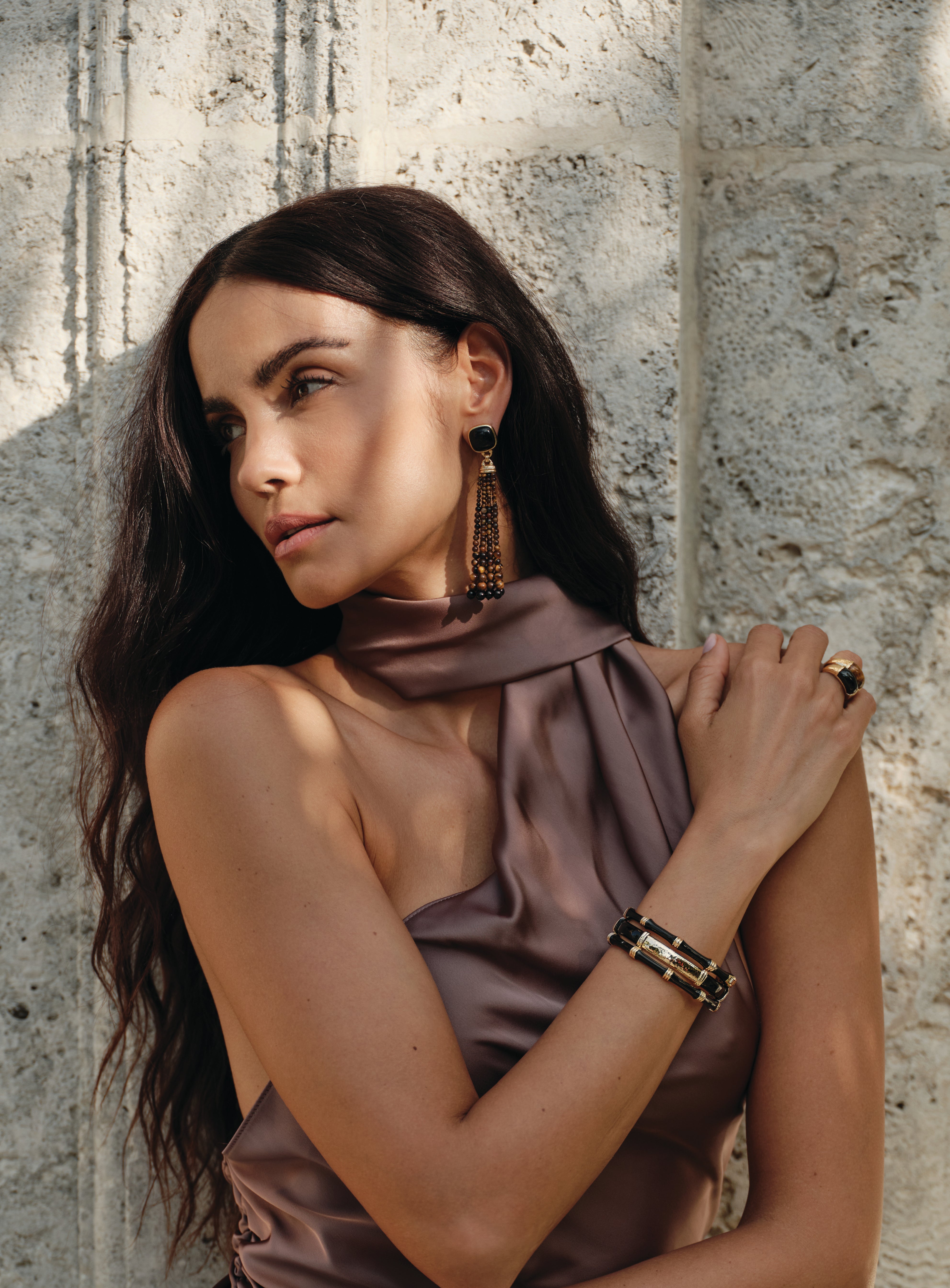 Forza Tassel Earrings, Tiger's Eye and Black Onyx - Anabel Aram